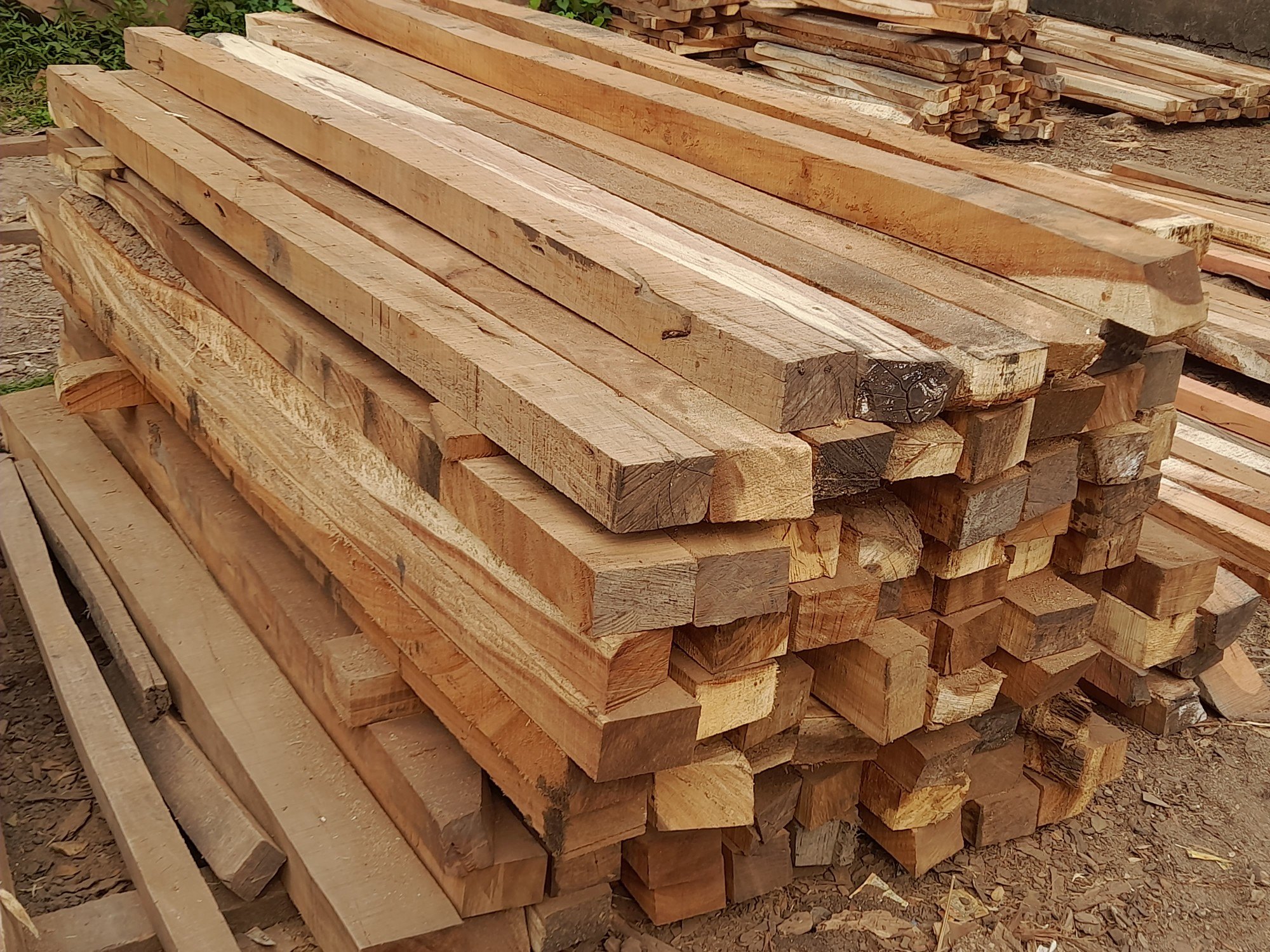 Timber Wood